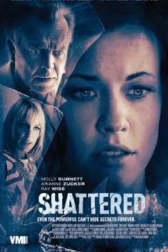 poster film Le Secret Des Burnett (Shattered)