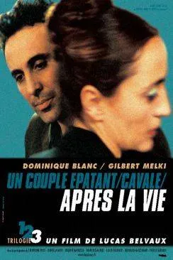 poster film après la vie