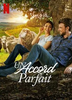 poster film Un accord parfait