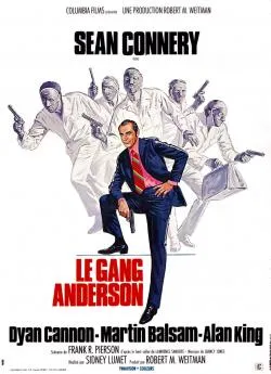 poster film Le Gang des Anderson