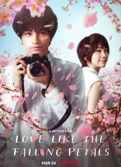 poster film Love Like the Falling Petals