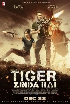 poster film Tiger Zinda Hei