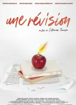 poster film Une révision