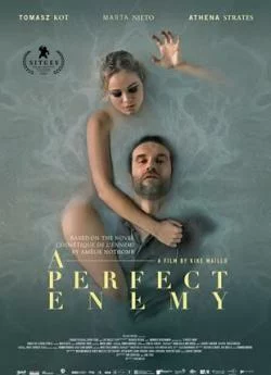 poster film A Perfect Enemy