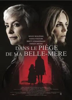 poster film Dans le piaprèsge de ma belle-mère