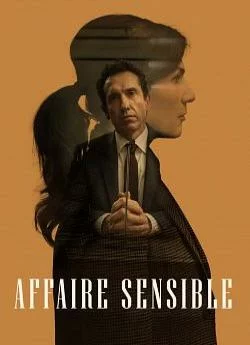 poster film Affaire sensible