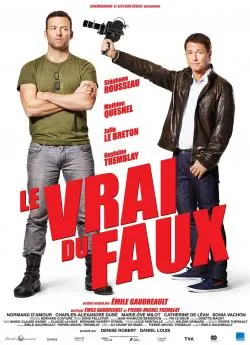 poster film Le Vrai du Faux