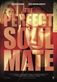 poster film The Perfect Soulmate