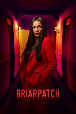 poster serie Briarpatch - Saison 1