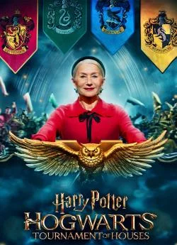 poster film Harry Potter : Le Tournoi des quatre maisons - Saison 1