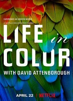 poster serie La Vie en couleurs avec David Attenborough - Saison 1