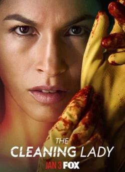 poster film The Cleaning Lady - Saison 1