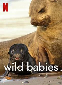 poster serie Wild Babies : Petits et Sauvages - Saison 1