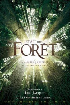 poster film Il était une forêt