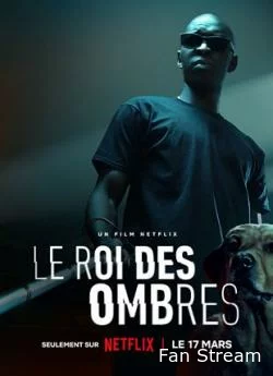 poster film Le Roi des Ombres